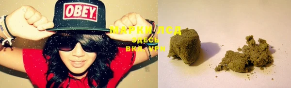 прущие крисы Вязьма