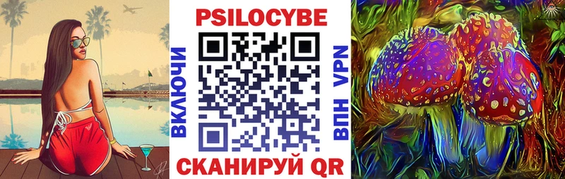 Псилоцибиновые грибы Psilocybe Черняховск