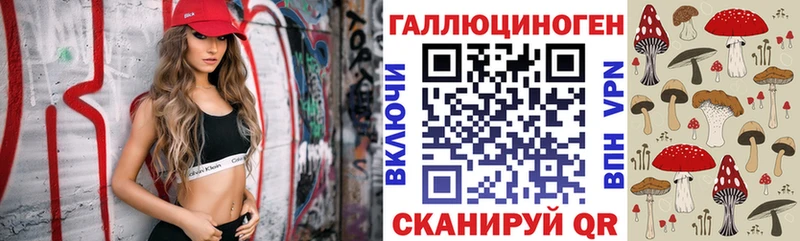 блэк спрут ONION  что такое   Черняховск  Псилоцибиновые грибы Magic Shrooms 